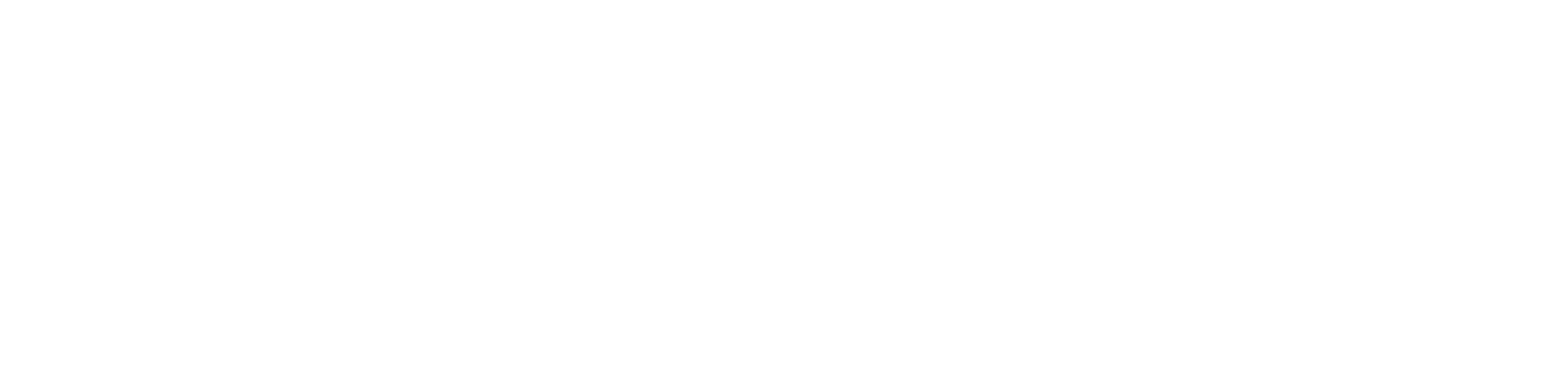 BRUKINSA logo